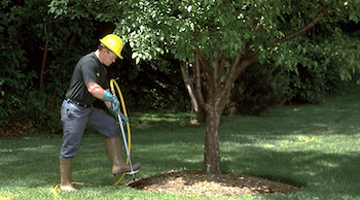 soil health casey tree service experts metro atlanta lilburn