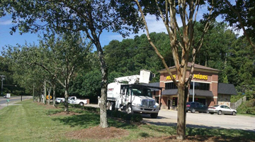 casey tree service chipping trucks