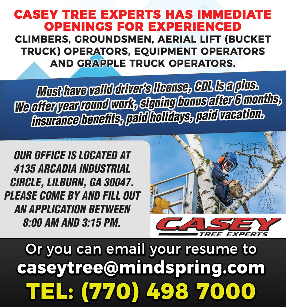 A flyer advertising the casey tree experts.